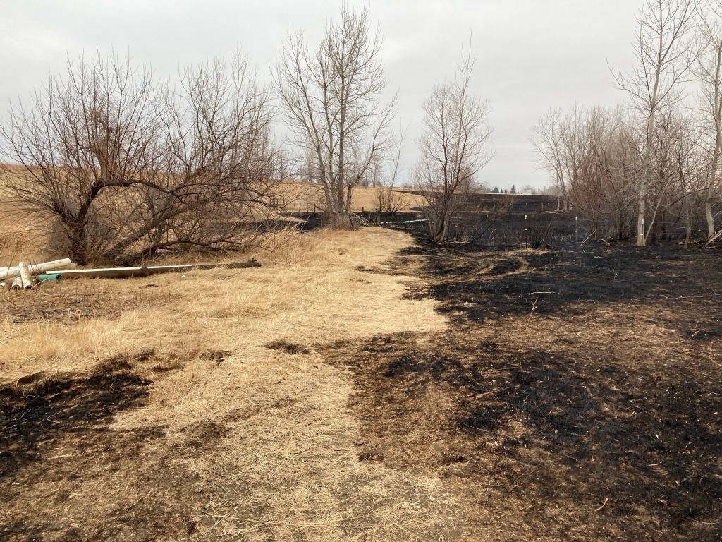 After the Fire: Colorado Communities Respond to the Boulder County Marshall Fire
